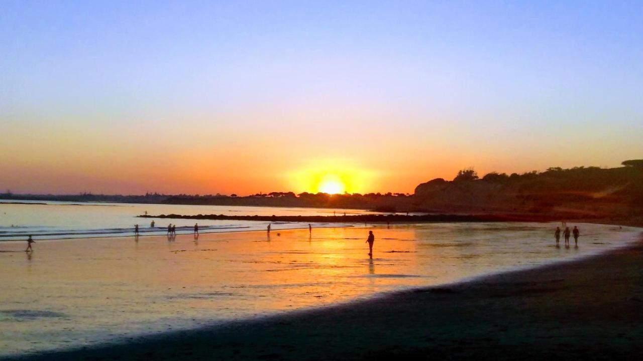 Primera Linea Playa Puerto Santa Maria Vistas Infinitas Limpieza Excepcional Parking إل بويرتو دي سانتا ماريا المظهر الخارجي الصورة